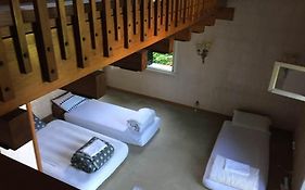 Clitorissima'S Suite